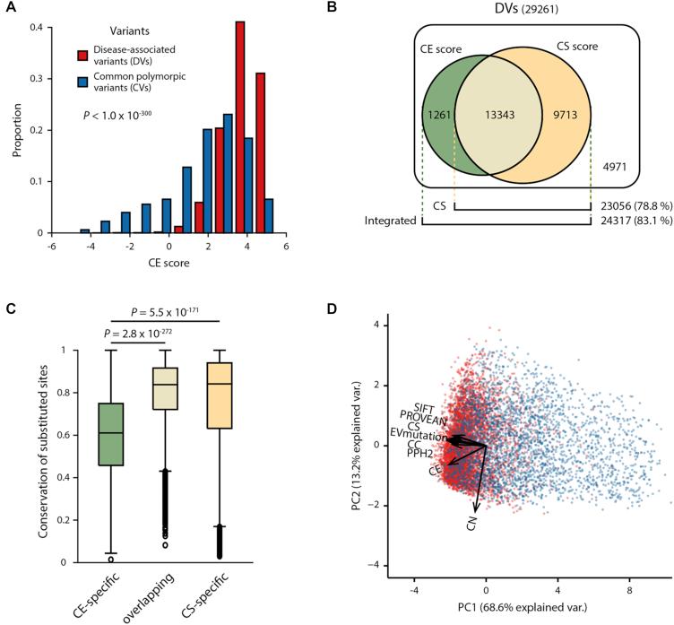 https://cdn.ncbi.nlm.nih.gov/pmc/blobs/31e9/6895274/749f31f50096/gkz536fig4.jpg
