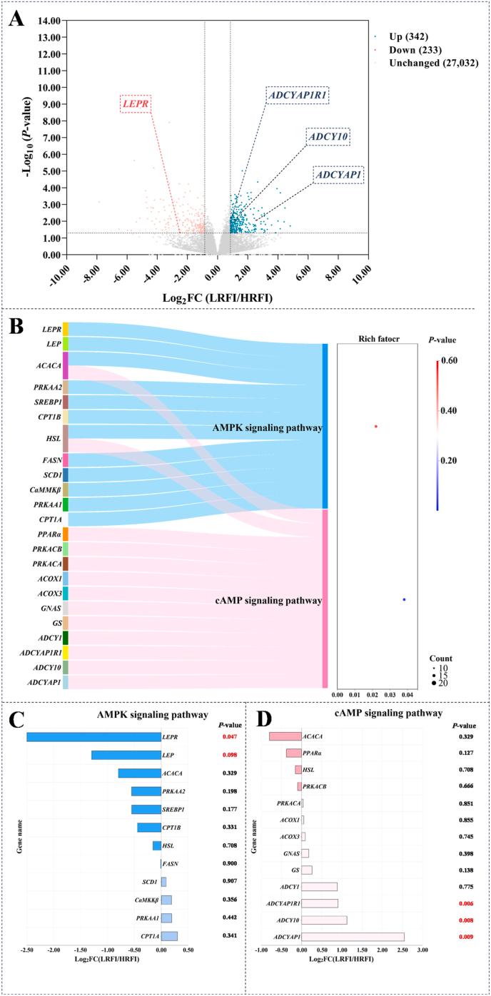 https://cdn.ncbi.nlm.nih.gov/pmc/blobs/31ed/12391812/06e49aa0ef0f/gr3.jpg