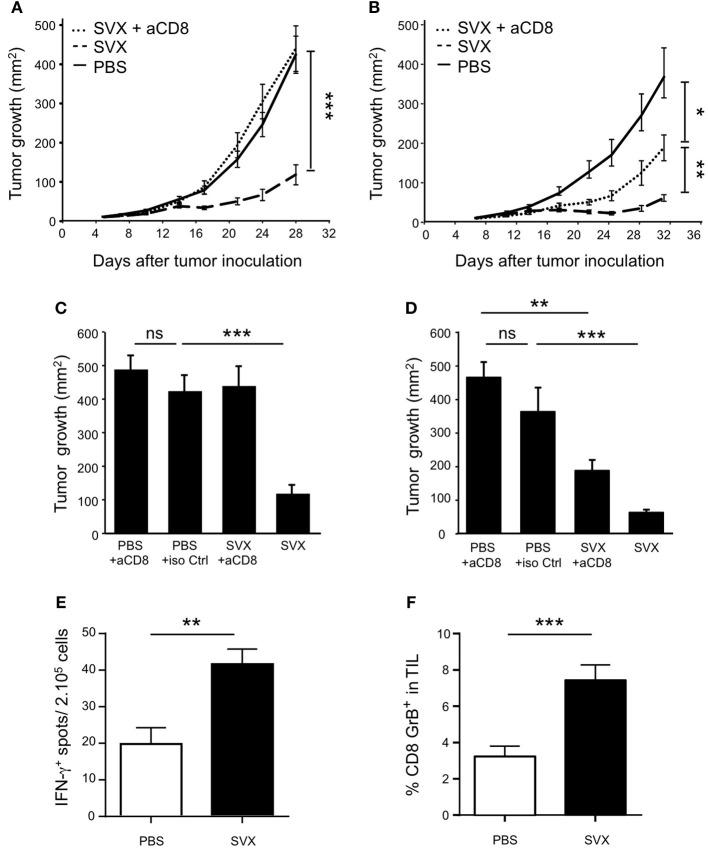 https://cdn.ncbi.nlm.nih.gov/pmc/blobs/31ed/6243131/5f8765879061/fonc-08-00517-g0004.jpg