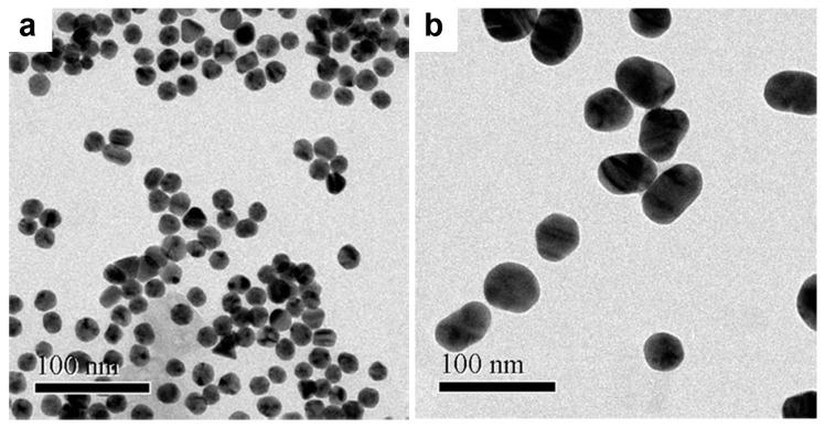 https://cdn.ncbi.nlm.nih.gov/pmc/blobs/31ed/8301757/32b58e2e24ee/biosensors-11-00209-g002.jpg
