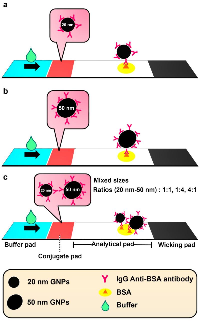 https://cdn.ncbi.nlm.nih.gov/pmc/blobs/31ed/8301757/78ab9ae9a6b0/biosensors-11-00209-g001.jpg