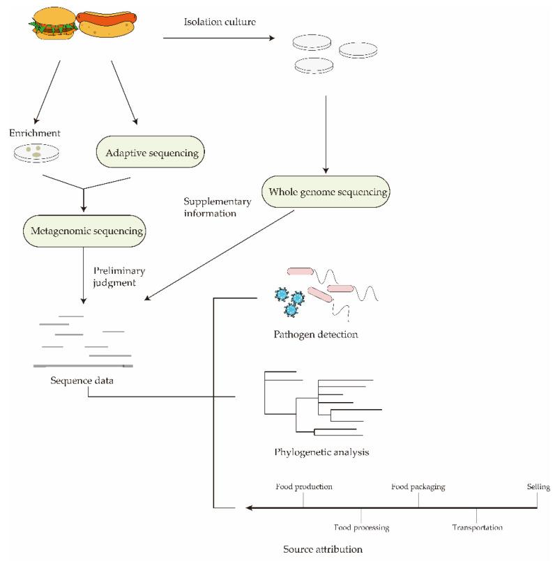 https://cdn.ncbi.nlm.nih.gov/pmc/blobs/31f0/9100974/2faa30af5347/nanomaterials-12-01534-g004.jpg