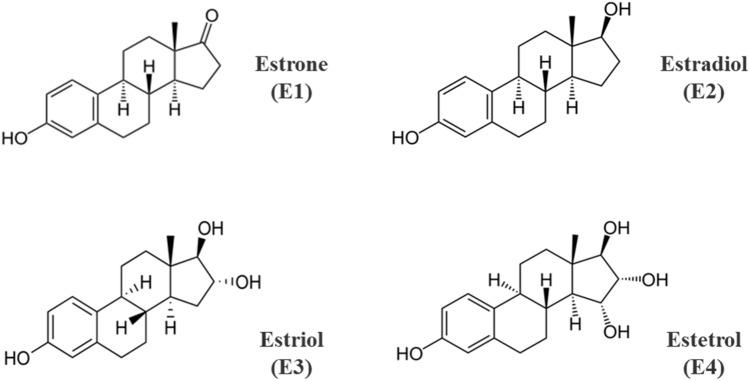 https://cdn.ncbi.nlm.nih.gov/pmc/blobs/31f1/10293541/8f8a220ff36c/40268_2023_419_Fig1_HTML.jpg
