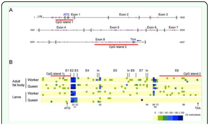 https://cdn.ncbi.nlm.nih.gov/pmc/blobs/31f3/3281433/6c3f10ac9eed/f02_01.jpg