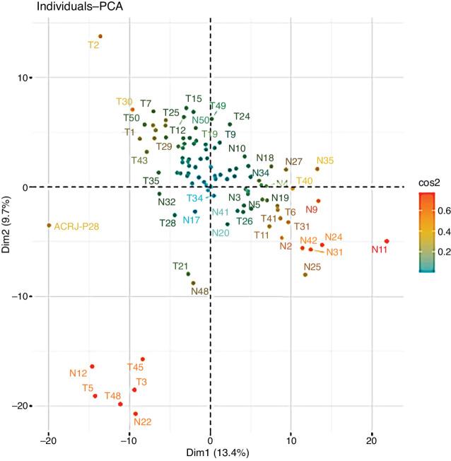 https://cdn.ncbi.nlm.nih.gov/pmc/blobs/31f5/10035378/233e51063a2a/crc-22-0245_fig8.jpg