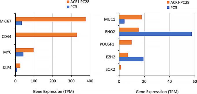 https://cdn.ncbi.nlm.nih.gov/pmc/blobs/31f5/10035378/6e63ad5c19c0/crc-22-0245_fig7.jpg