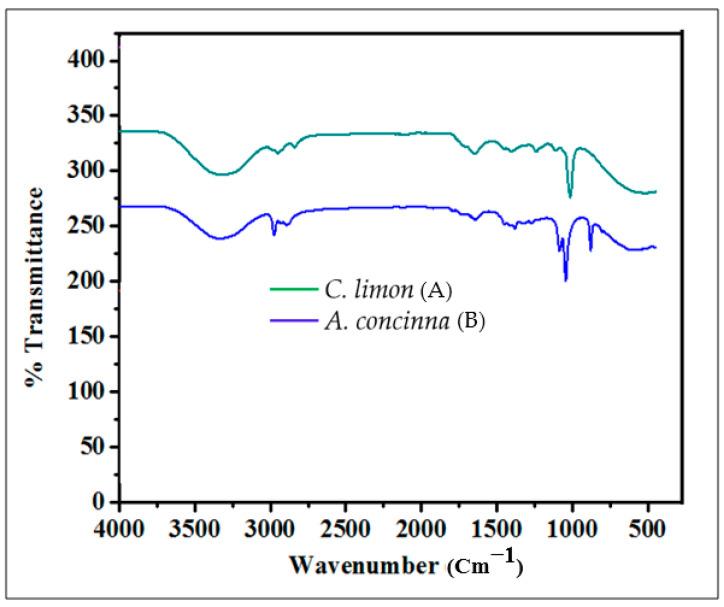https://cdn.ncbi.nlm.nih.gov/pmc/blobs/31f5/9105112/e960302af800/molecules-27-02715-g001.jpg