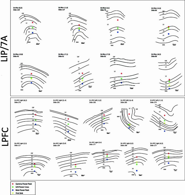 https://cdn.ncbi.nlm.nih.gov/pmc/blobs/31f7/10917659/6c4734506b89/41593_2023_1554_Fig11_ESM.jpg