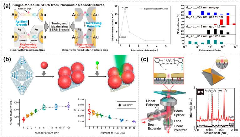 https://cdn.ncbi.nlm.nih.gov/pmc/blobs/31f7/12292879/875ce4d7937a/biosensors-15-00398-g002.jpg