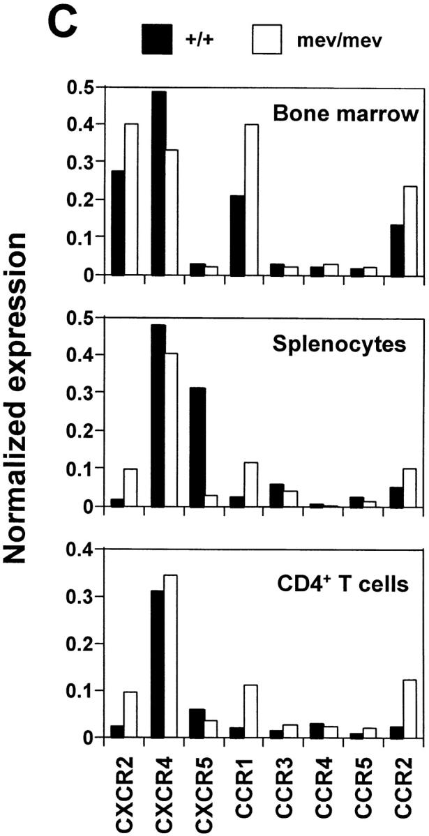 https://cdn.ncbi.nlm.nih.gov/pmc/blobs/31f8/2195618/266f026a192a/JEM990505.f5c.jpg