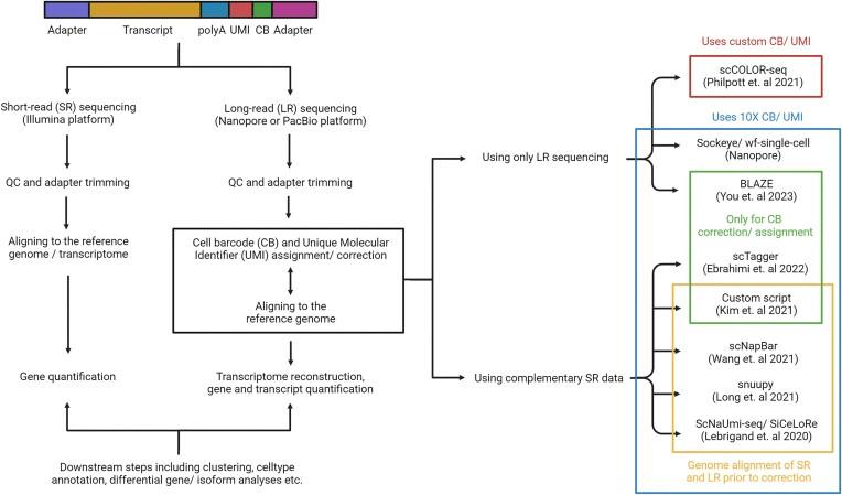 https://cdn.ncbi.nlm.nih.gov/pmc/blobs/31fb/11106032/856710ed95b0/lqae047fig3.jpg