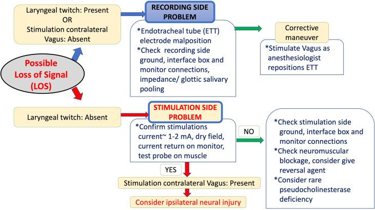 https://cdn.ncbi.nlm.nih.gov/pmc/blobs/31fb/8253252/c9b23173c7bb/fendo-12-705346-g003.jpg