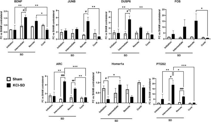 https://cdn.ncbi.nlm.nih.gov/pmc/blobs/31fc/10757627/72b187890cff/fncel-17-1292661-g006.jpg