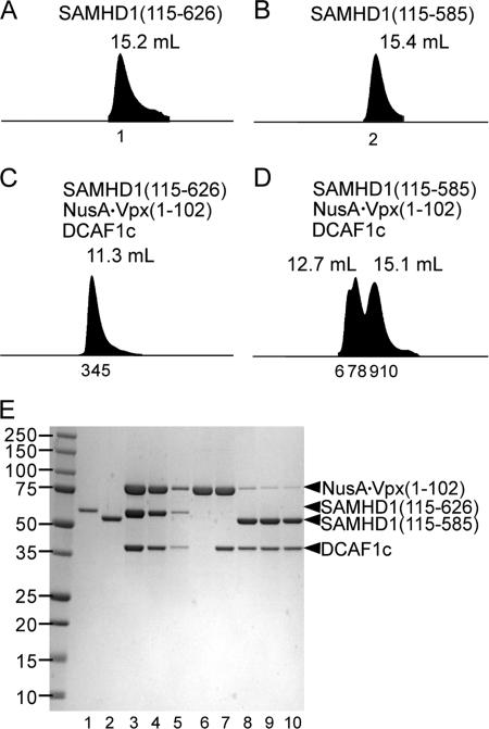 https://cdn.ncbi.nlm.nih.gov/pmc/blobs/31fc/3321004/b29859c8b810/zbc0171204630003.jpg