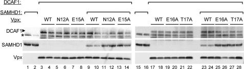 https://cdn.ncbi.nlm.nih.gov/pmc/blobs/31fc/3321004/ef4ba65af0d4/zbc0171204630005.jpg