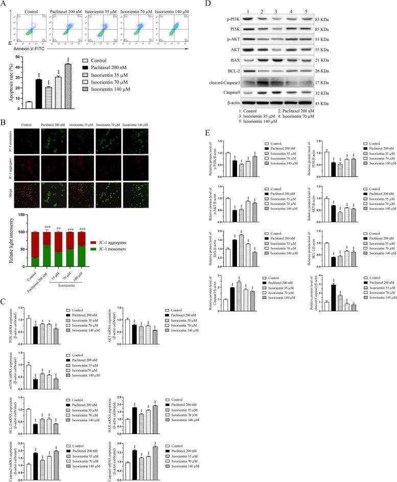 https://cdn.ncbi.nlm.nih.gov/pmc/blobs/3201/11334567/450c244dc282/12906_2024_4605_Fig5_HTML.jpg