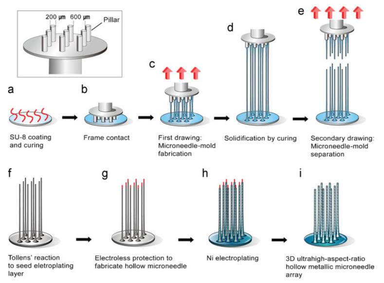 https://cdn.ncbi.nlm.nih.gov/pmc/blobs/3201/8400269/194f642db121/polymers-13-02815-g012.jpg