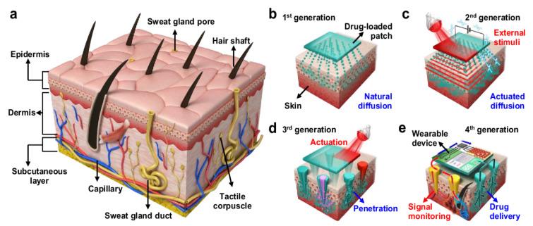 https://cdn.ncbi.nlm.nih.gov/pmc/blobs/3201/8400269/31bce5f56840/polymers-13-02815-g002.jpg