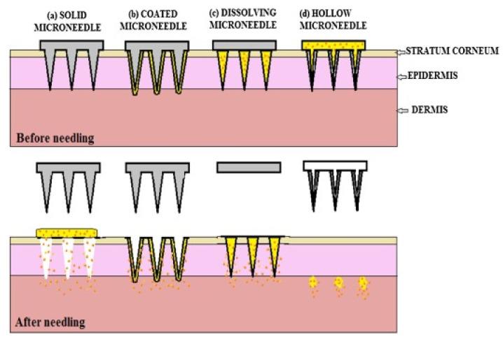 https://cdn.ncbi.nlm.nih.gov/pmc/blobs/3201/8400269/3c541944cb1e/polymers-13-02815-g005.jpg