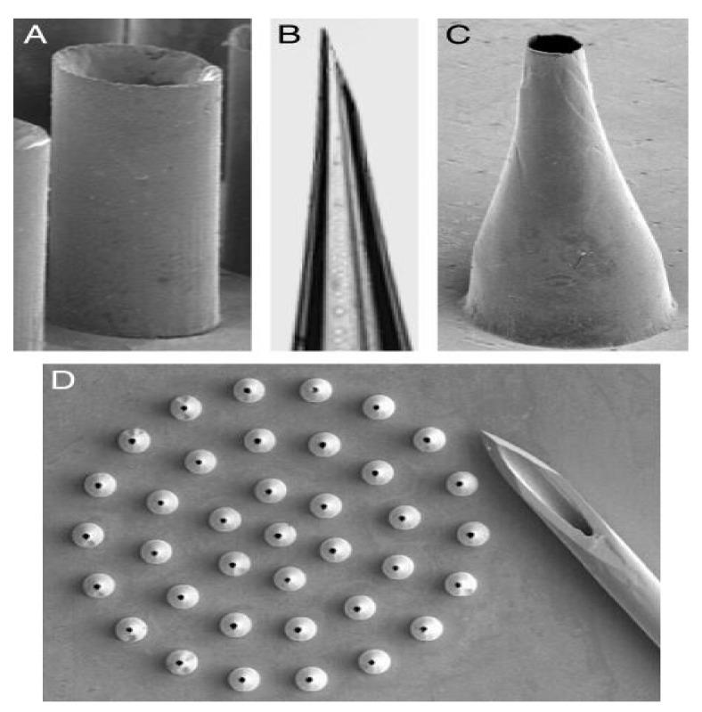 https://cdn.ncbi.nlm.nih.gov/pmc/blobs/3201/8400269/6ad5b94819a4/polymers-13-02815-g007.jpg