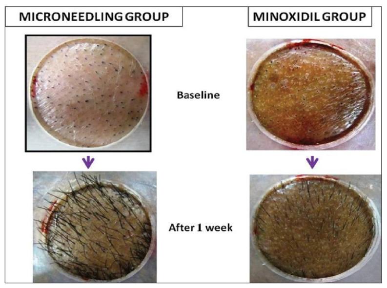 https://cdn.ncbi.nlm.nih.gov/pmc/blobs/3201/8400269/8b35b32d4b5a/polymers-13-02815-g019.jpg