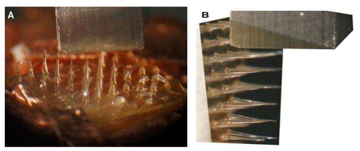 https://cdn.ncbi.nlm.nih.gov/pmc/blobs/3201/8400269/af2a42e4c2d8/polymers-13-02815-g016.jpg