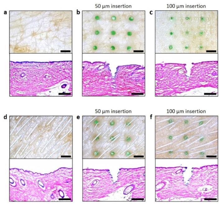 https://cdn.ncbi.nlm.nih.gov/pmc/blobs/3201/8400269/eae8fd62bfb8/polymers-13-02815-g017.jpg