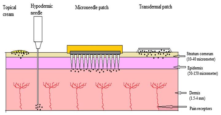 https://cdn.ncbi.nlm.nih.gov/pmc/blobs/3201/8400269/fabe471c5931/polymers-13-02815-g001.jpg