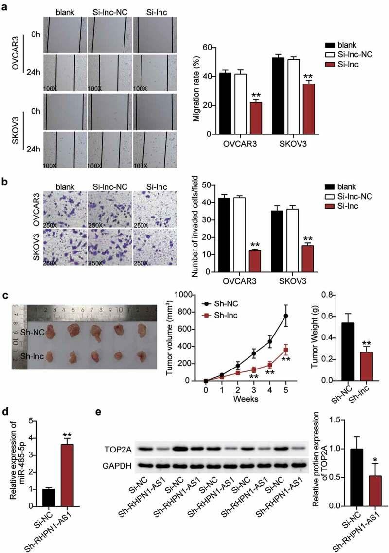 https://cdn.ncbi.nlm.nih.gov/pmc/blobs/3206/8810118/5b0b11a20e1a/KBIE_A_2002494_F0003_OC.jpg