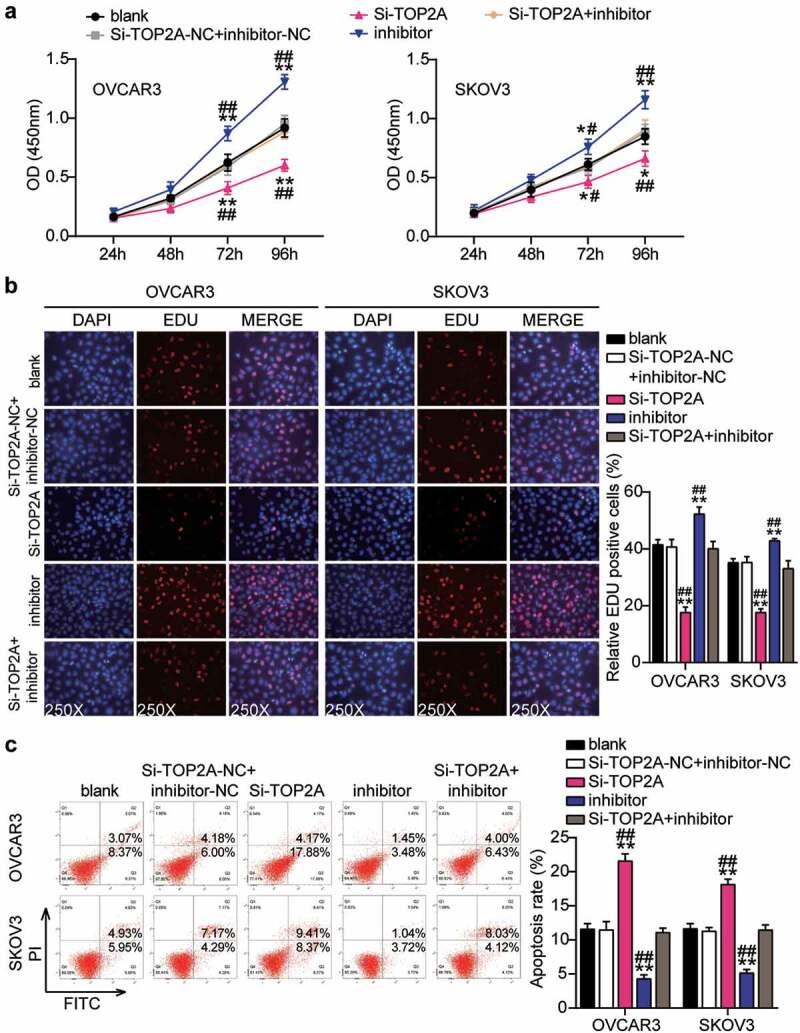 https://cdn.ncbi.nlm.nih.gov/pmc/blobs/3206/8810118/68aeae5bdc09/KBIE_A_2002494_F0008_OC.jpg