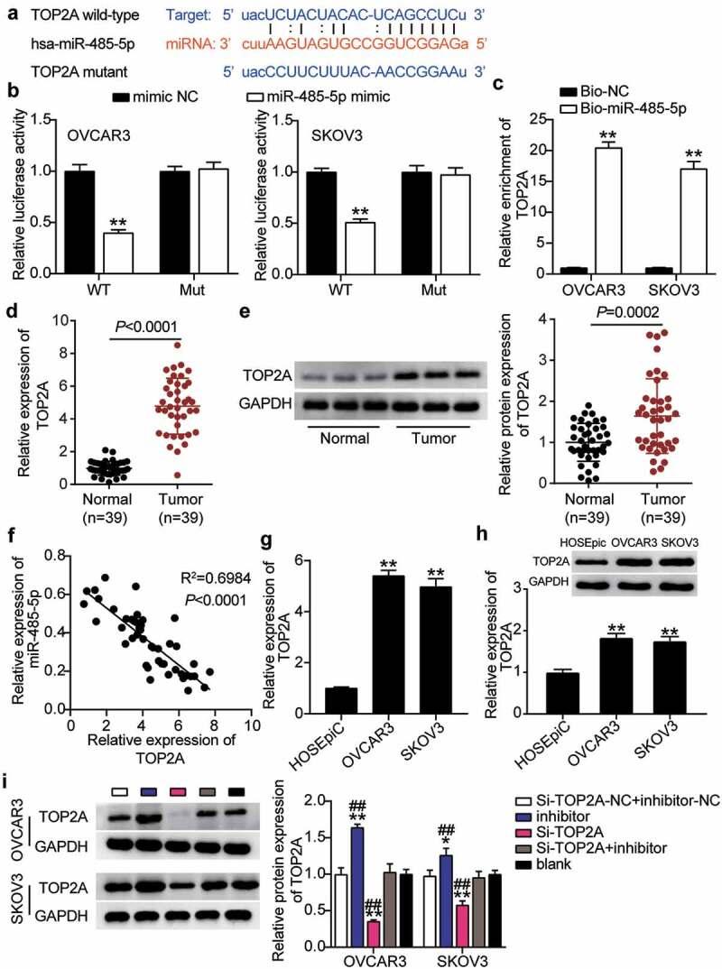 https://cdn.ncbi.nlm.nih.gov/pmc/blobs/3206/8810118/858969e60bd3/KBIE_A_2002494_F0007_OC.jpg