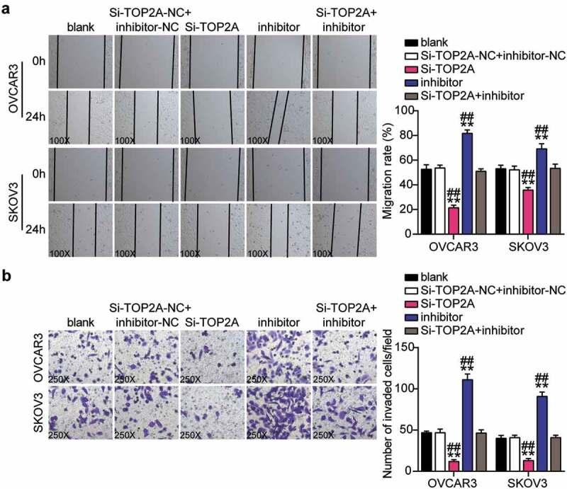 https://cdn.ncbi.nlm.nih.gov/pmc/blobs/3206/8810118/c2fa3c827d46/KBIE_A_2002494_F0009_OC.jpg