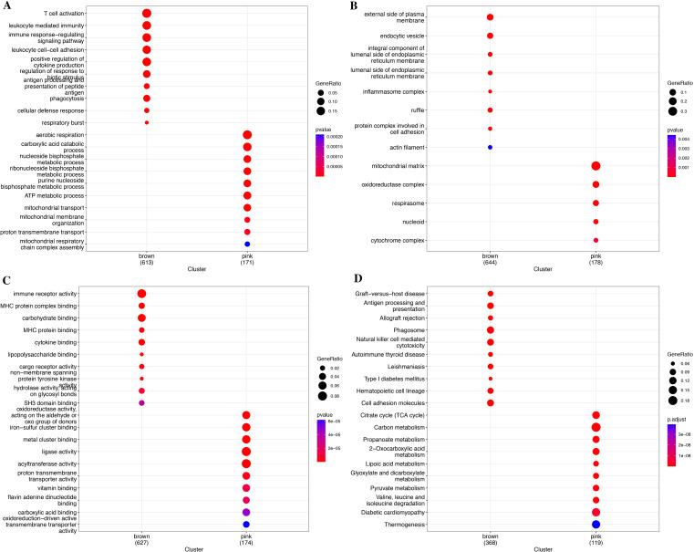 https://cdn.ncbi.nlm.nih.gov/pmc/blobs/3209/12318986/e3041ddb7601/fimmu-16-1561227-g004.jpg