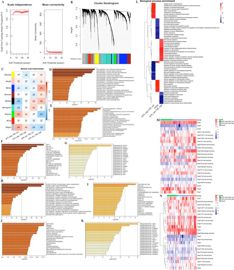 https://cdn.ncbi.nlm.nih.gov/pmc/blobs/3209/12318986/fc8a2b5ba70f/fimmu-16-1561227-g010.jpg