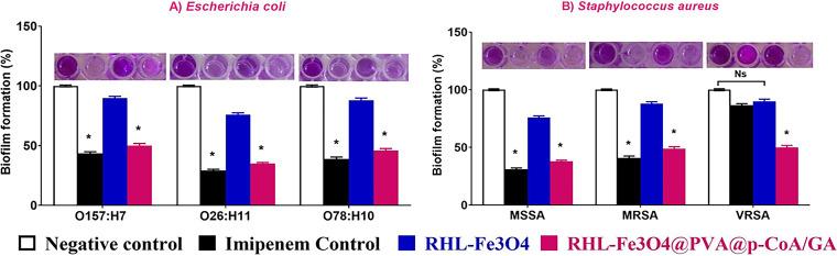 https://cdn.ncbi.nlm.nih.gov/pmc/blobs/320a/9430161/16a3e0559235/spectrum.00250-22-f008.jpg