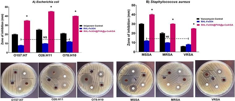 https://cdn.ncbi.nlm.nih.gov/pmc/blobs/320a/9430161/bc9c712715c7/spectrum.00250-22-f006.jpg