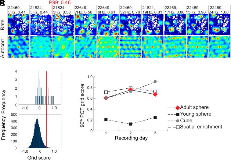 https://cdn.ncbi.nlm.nih.gov/pmc/blobs/320b/10576132/7615c6852d51/pnas.2310820120fig05.jpg