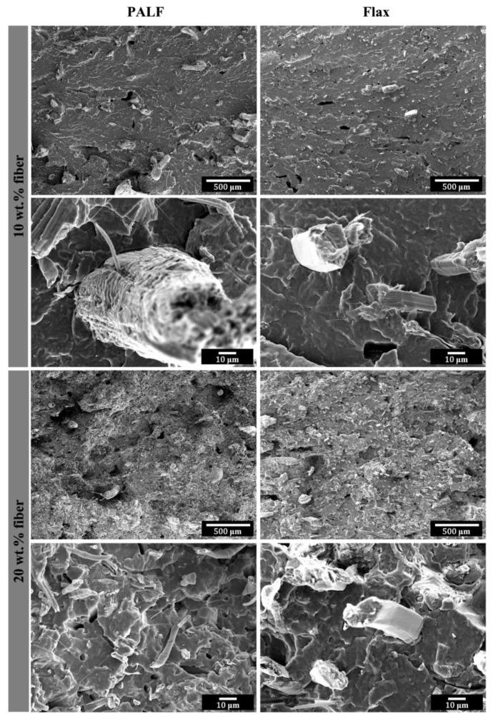 https://cdn.ncbi.nlm.nih.gov/pmc/blobs/320c/10537419/a015df73bf3e/polymers-15-03691-g010.jpg