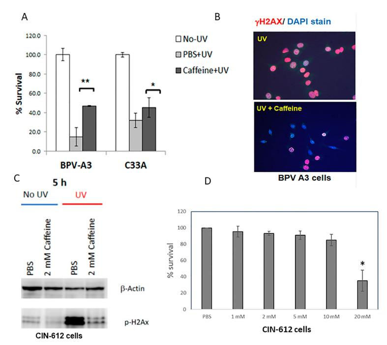 https://cdn.ncbi.nlm.nih.gov/pmc/blobs/320c/9698569/b3c8a7ff5874/pathogens-11-01298-g001.jpg