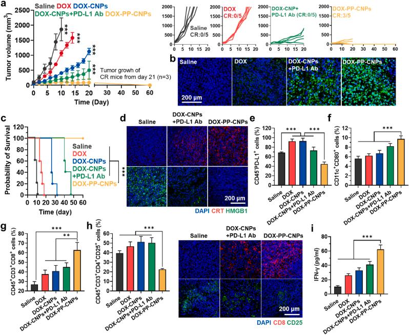 https://cdn.ncbi.nlm.nih.gov/pmc/blobs/320d/10276196/15690dd8930b/gr6.jpg