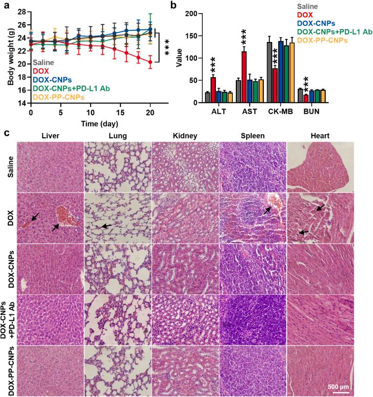 https://cdn.ncbi.nlm.nih.gov/pmc/blobs/320d/10276196/ff672821cc62/gr8.jpg