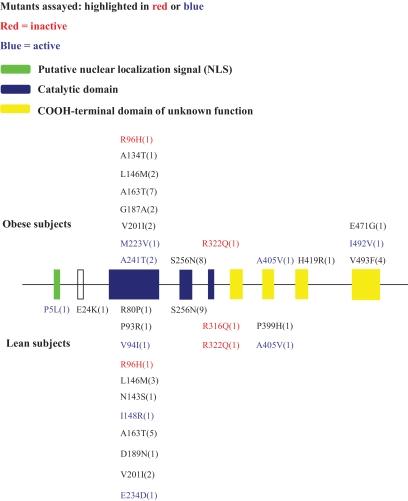 https://cdn.ncbi.nlm.nih.gov/pmc/blobs/320d/2797938/bf1a809e2663/zdb0011059770002.jpg