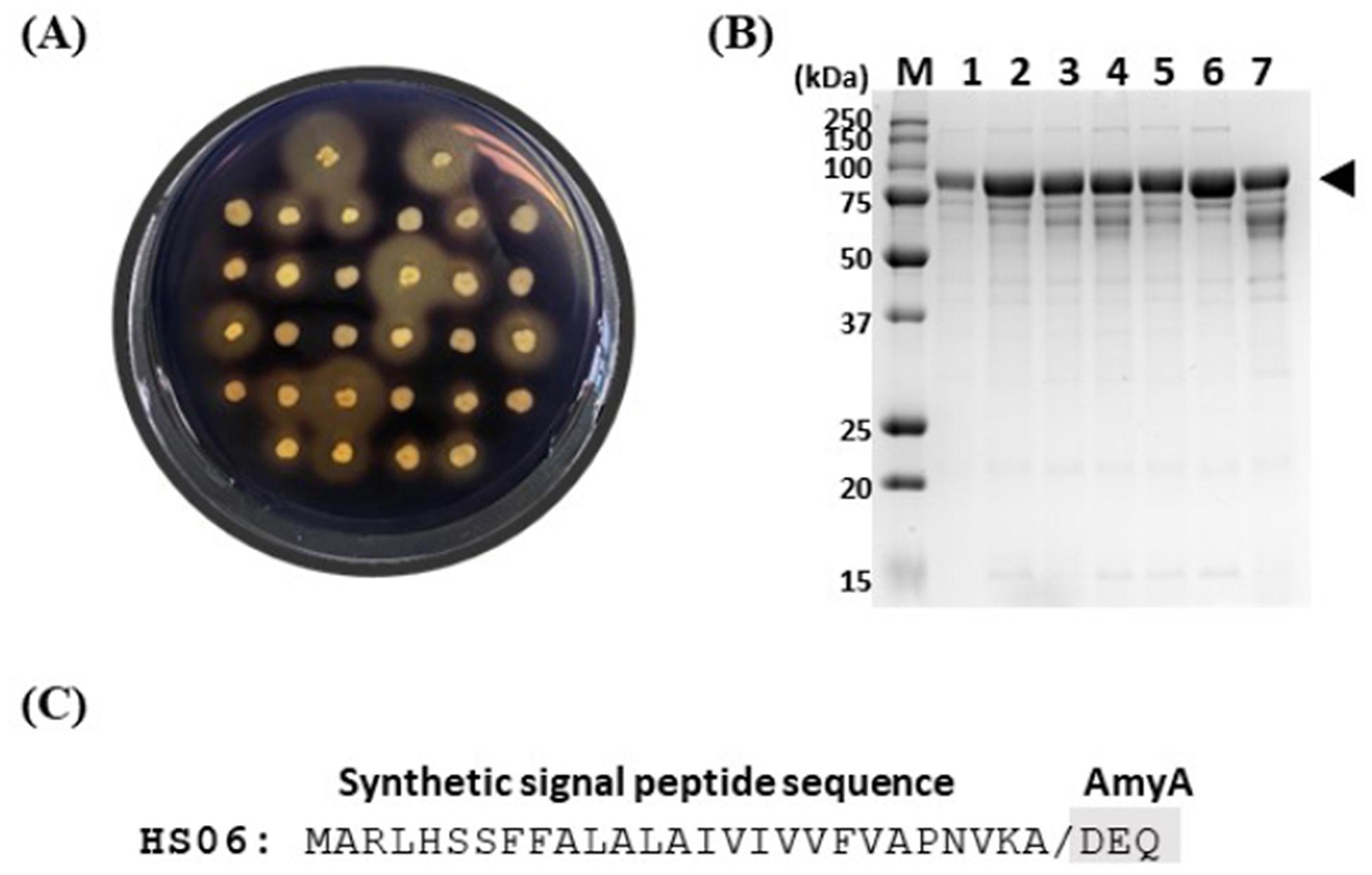 https://cdn.ncbi.nlm.nih.gov/pmc/blobs/320f/11406804/29f7cf6bbbc3/12934_2024_2516_Fig4_HTML.jpg
