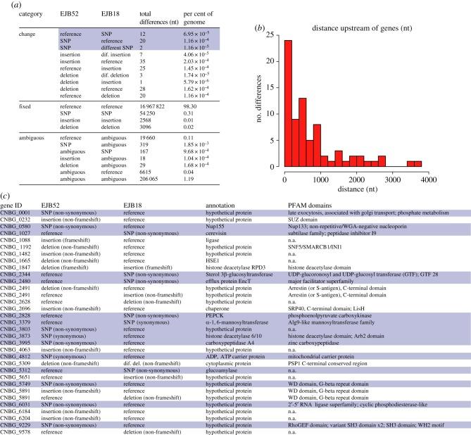 https://cdn.ncbi.nlm.nih.gov/pmc/blobs/320f/5095545/64faeb793d3b/rstb20160021-g2.jpg