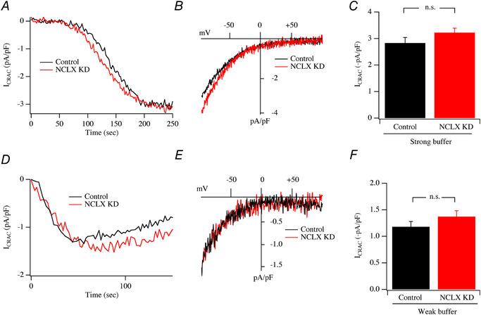 https://cdn.ncbi.nlm.nih.gov/pmc/blobs/3211/7318671/0cfe8fc68b31/TJP-598-1753-g012.jpg