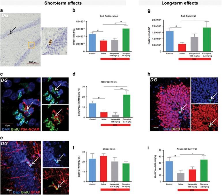 https://cdn.ncbi.nlm.nih.gov/pmc/blobs/3212/5537642/fa147a7468c0/tp2017120f2.jpg