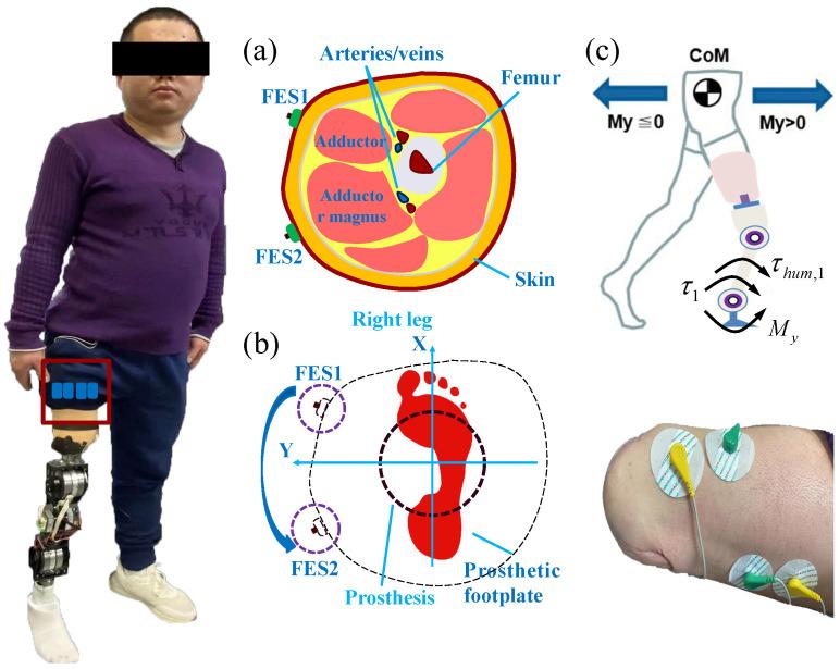 https://cdn.ncbi.nlm.nih.gov/pmc/blobs/3213/12390143/f03b257da01d/sensors-25-04975-g002.jpg