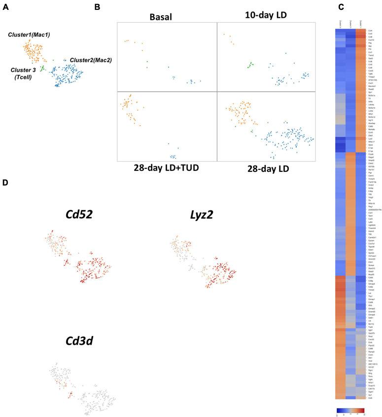 https://cdn.ncbi.nlm.nih.gov/pmc/blobs/3213/8505819/233ca5180f8c/fcell-09-714271-g006.jpg