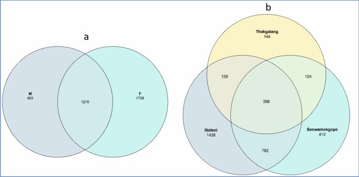 https://cdn.ncbi.nlm.nih.gov/pmc/blobs/3215/11391056/5e582c7fb10b/41598_2024_72389_Fig1_HTML.jpg