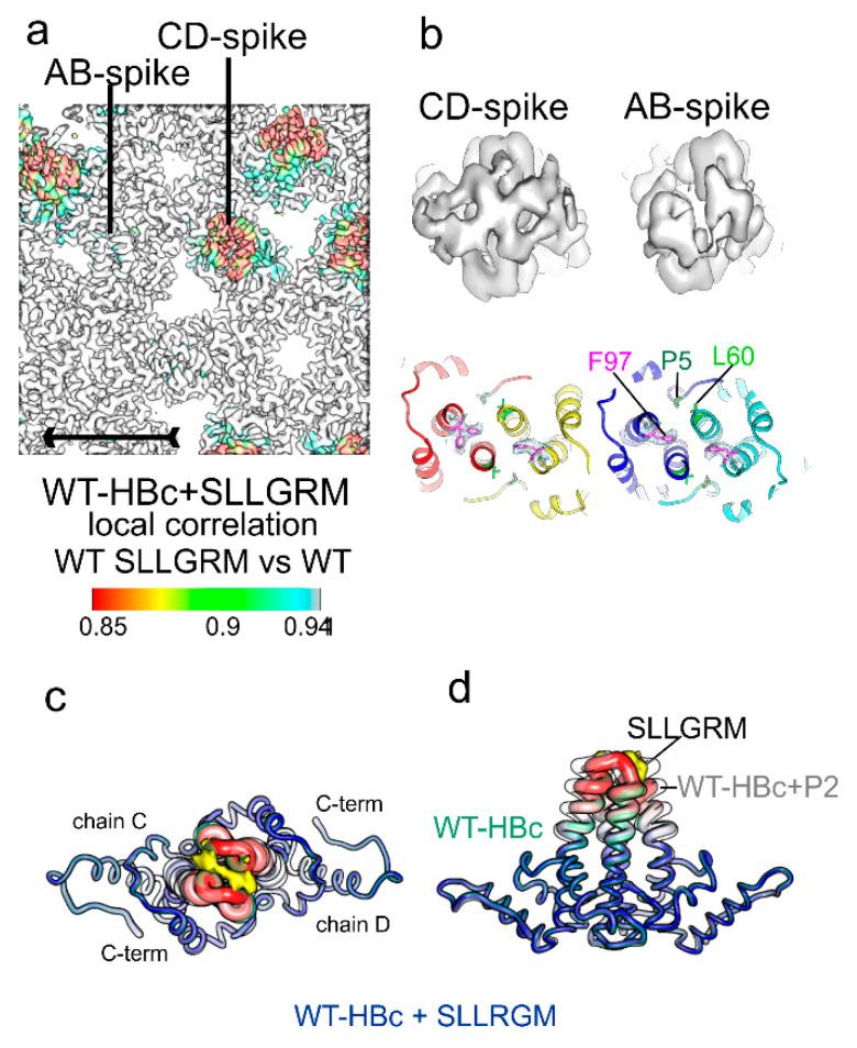 https://cdn.ncbi.nlm.nih.gov/pmc/blobs/3216/8145704/ca3db9c639c0/microorganisms-09-00956-g007.jpg